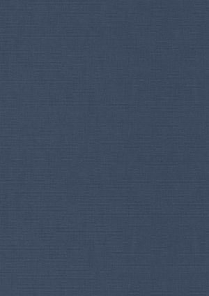 rio-9-textura