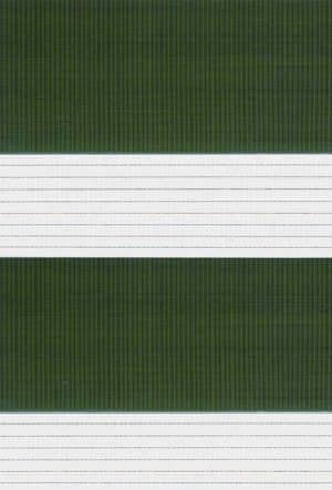 Day and Night plaine-forest-night-textura