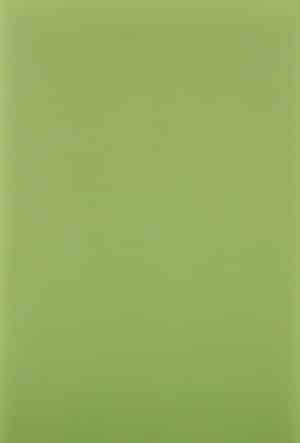 Plaine 1861 - imagine 3